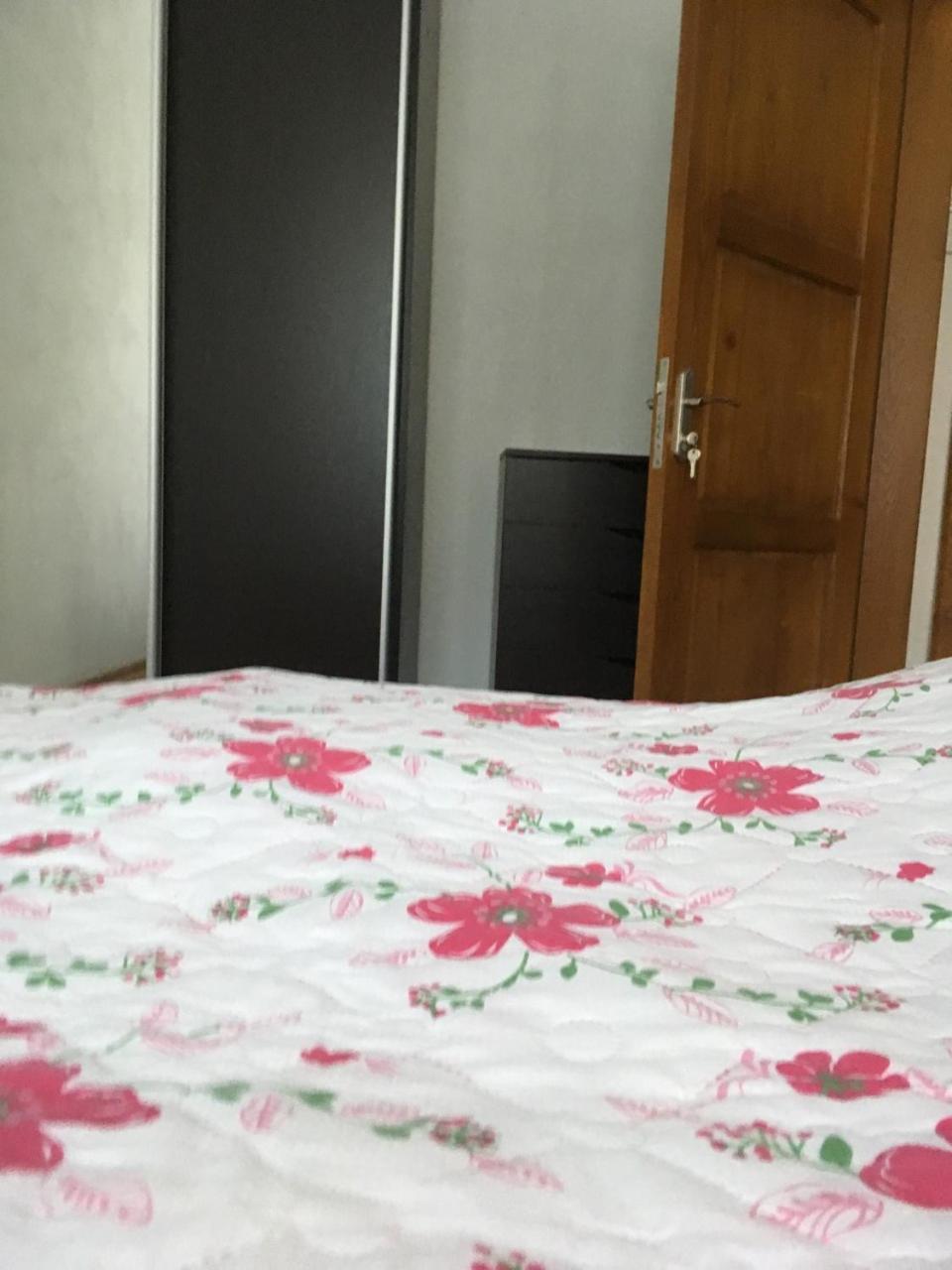 Apartaments In Karpaty Mizhhirya  ภายนอก รูปภาพ