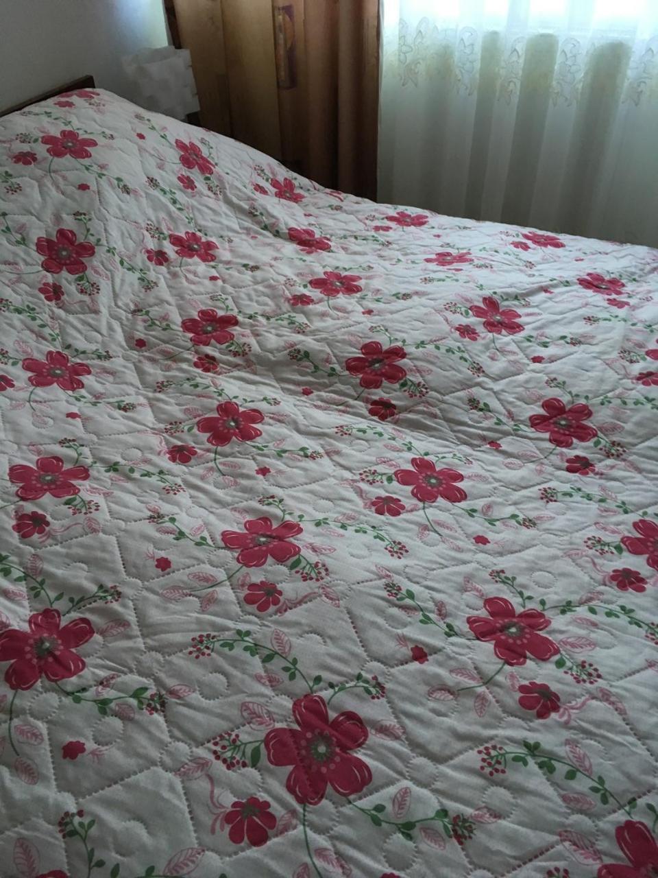 Apartaments In Karpaty Mizhhirya  ภายนอก รูปภาพ